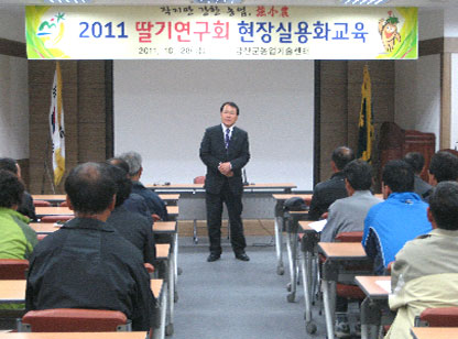 딸기연구회 현장실용화 교육